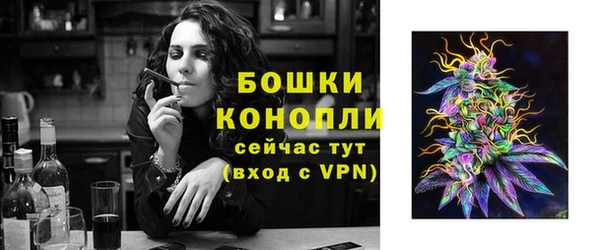 гидра Верхний Тагил