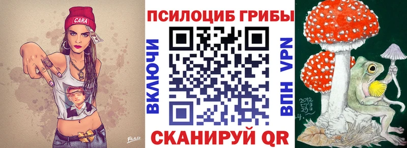 Галлюциногенные грибы Psilocybe  Купить закладки  Магадан 