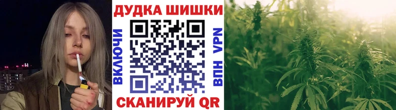 Купить  Магадан  Марихуана Amnesia 